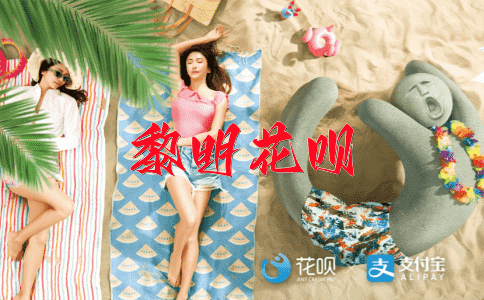 一意孤行（自己坚持自己的意见）花呗
